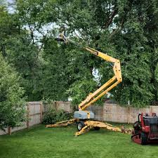 Best Lawn Pest Prevention  in Searles Valley, CA